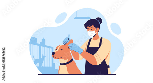 Groomer with mask carefully grooms a dog.