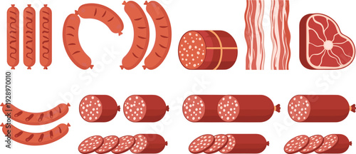 Flat vector illustration set of cute safari animals featuring a lion tiger giraffe toucan and chameleon with tropical leaves for kids nursery.