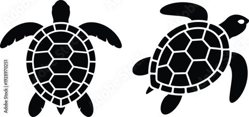 Simple black and white illustration of two sea turtles swimming in different directions on a clean white background.