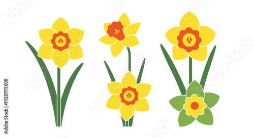 Daffodil Line art clean modern style vector