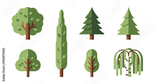 European tree Line minimal smooth color vector