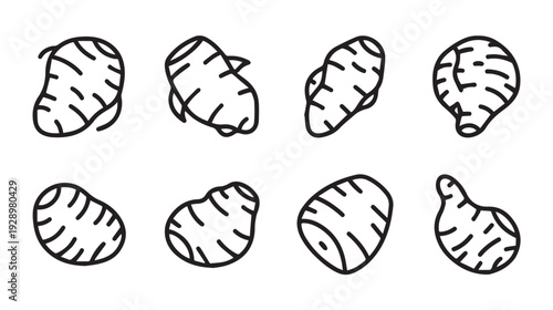 Ginger Root Icon Set Various Angles Outline Style Isolated on White Background