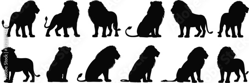 Set of Male Lion Silhouettes in Various Poses on White Background king animal