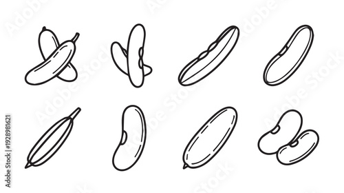 Various Bean Types Collection Vector Icon Set Outline Simple Forms