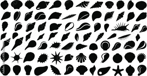 Large Collection of Black Seashell and Starfish Silhouettes on White Background variety