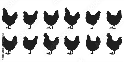 Collection of chicken silhouettes in two rows on a white background bird poultry