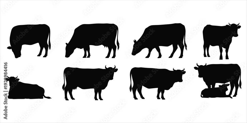 Obraz premium Collection of Black Cow Silhouettes in Various Poses on White Background cattle