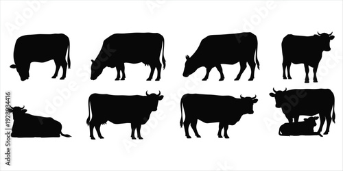 Collection of Black Cow Silhouettes in Various Poses on White Background cattle