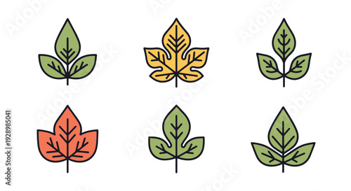 Decorative vein leaf minimal color concept vector