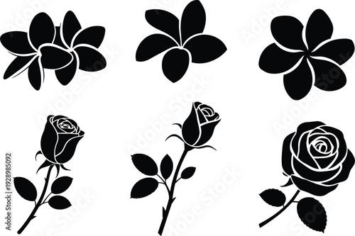 Black Silhouette Collection of Plumeria Flowers and Roses on White Background vector illustration