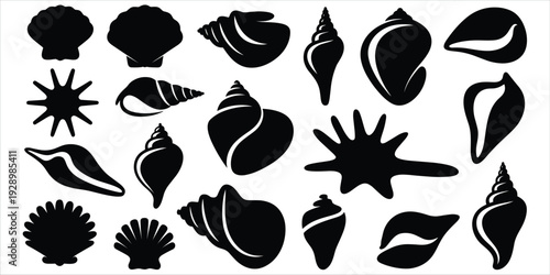 Assortment of Seashell and Starfish Silhouettes on White Background ocean