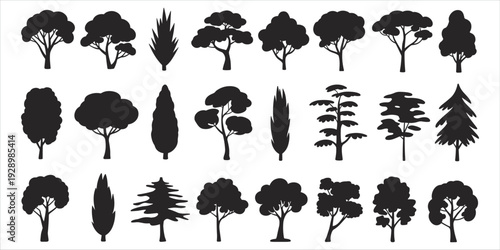 Assortment of Tree and Evergreen Silhouettes on White Background pine