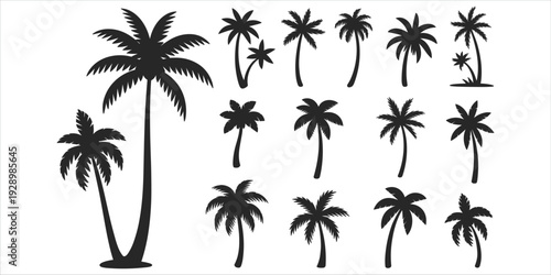 Assortment of palm tree silhouettes in different sizes and styles palm trees tropical