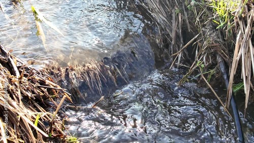 A close-up view of water cascading over a small natural ledge into a bubbling stream surrounded by dry grass and branches.
