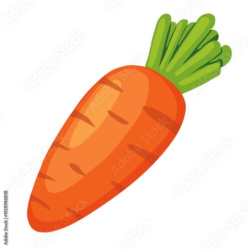CARROT