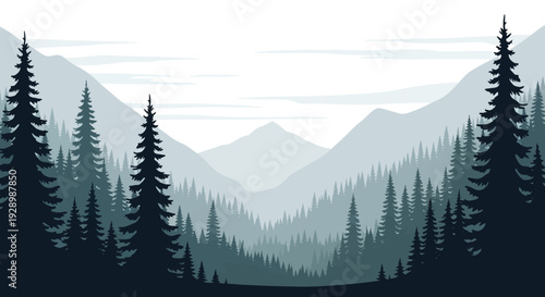 Silhouetted Pine Trees in Forest Landscape.