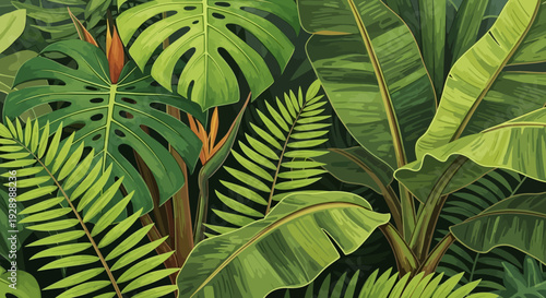 Tropical Leaves Foliage Plants Jungle Greenery.