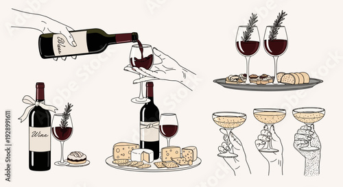 Illustrations of wine bottles, glasses, cheese, and appetizers, depicting wine tasting and serving scenarios.