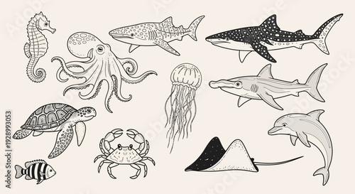 A collection of hand-drawn illustrations of various marine animals, including a seahorse, octopus, whale shark, great white shark, jellyfish, dolphin, sea turtle, crab, stingray, and a small fish.
