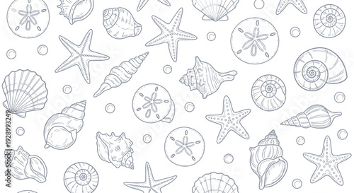 A detailed illustration of various seashells, starfish, and sand dollars scattered across a white background, presented in a charming, hand-drawn sketch style.