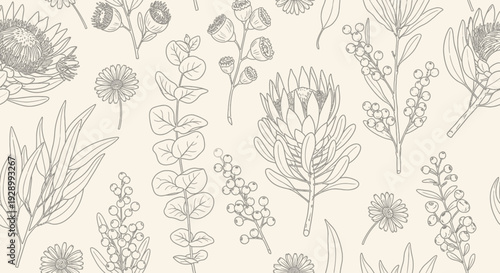 A delicate and intricate line drawing pattern featuring various Australian native flora, including proteas and eucalyptus branches, on a soft cream background.