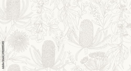 Delicate line drawing of Banksia flowers and foliage on a cream background.