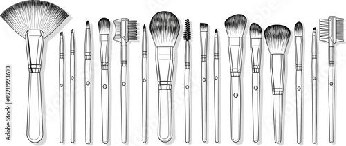 Vector Illustration of Various Makeup Brushes Including Fan, Powder, Blush, and Eye Brushes