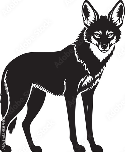 A coyote standing in a minimalist black and white stencil vector style on white background