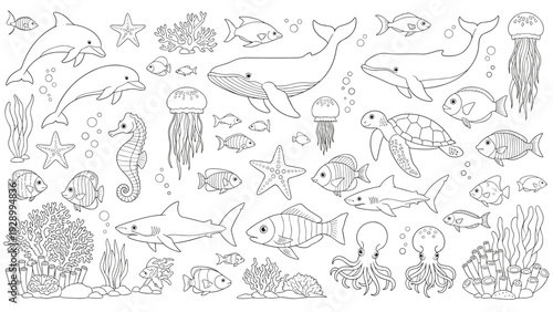 Large set of underwater sea creatures featuring whales, dolphins, sharks, turtles, and fish in detailed line art.