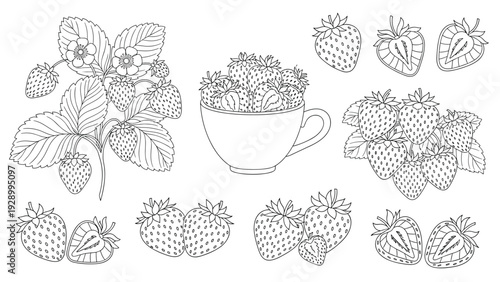 Detailed strawberry collection featuring the plant in bloom, a cup of ripe berries, and cross section slices.