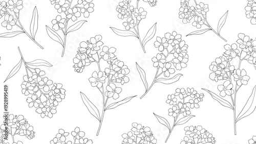 Black and white floral pattern showcasing detailed sketches of forget-me-not flower clusters with their leaves and stems.