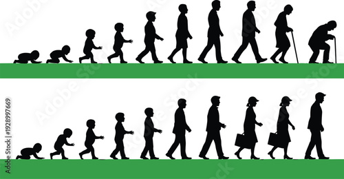 Large collection of black silhouettes showing male and female life cycles from crawling babies to aging elderly people on green grass for evolution concepts