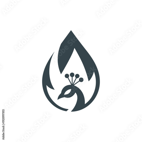 Minimalist peacock logo design with teardrop shape and floral elements