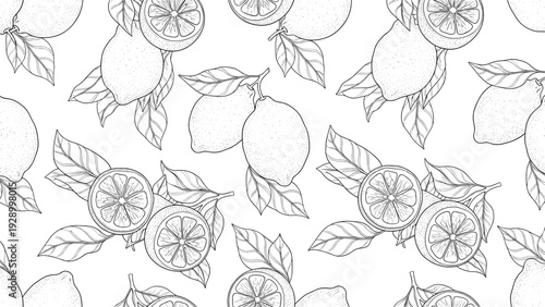 Fresh lemon fruit and sliced segments seamless pattern in detailed line art for kitchen and citrus themed decor.