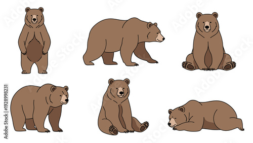 Set of six brown bear illustrations in different poses including standing on two legs, walking, and sitting down in a clean cartoon style.