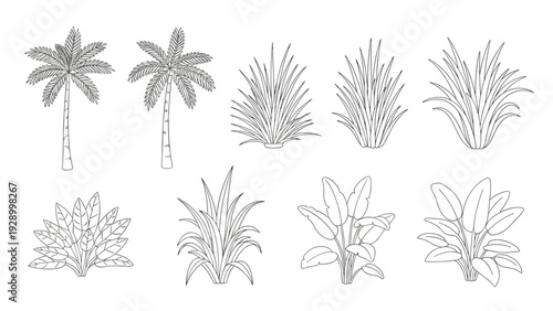 Set of ten various plant and tree outline silhouettes including palms and shrubs in a clean and simple black and white style.