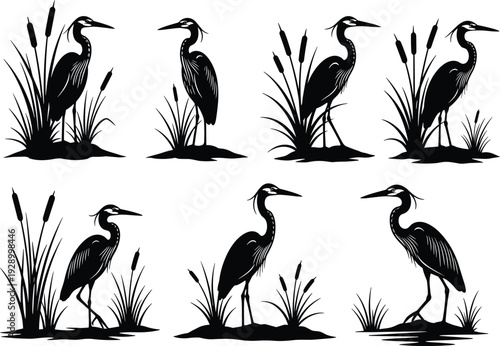 Heron Bird Silhouette Set in Wetland Reeds, Elegant Waterfowl Wildlife Collection, Nature and Marsh Habitat, Black Minimal Vector Illustration