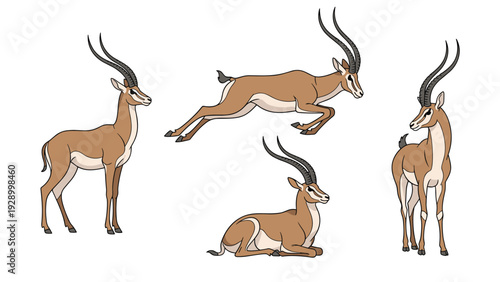 Set of gazelle or impala illustrations showing the animal standing, running, and resting on a white background.