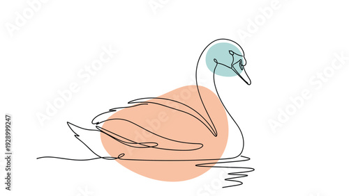 Elegant one line drawing of a graceful swan swimming on water is accented with abstract colorful shapes in a modern and minimalist style.