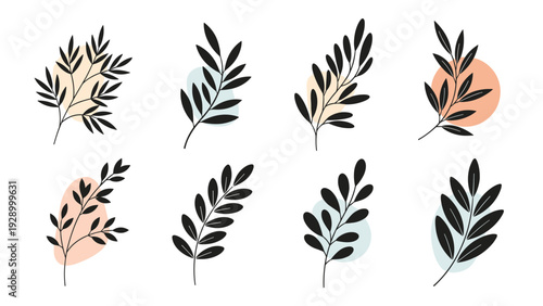Set of minimalist black botanical leaf sprigs with colorful pastel organic shapes behind them on a clean white background.
