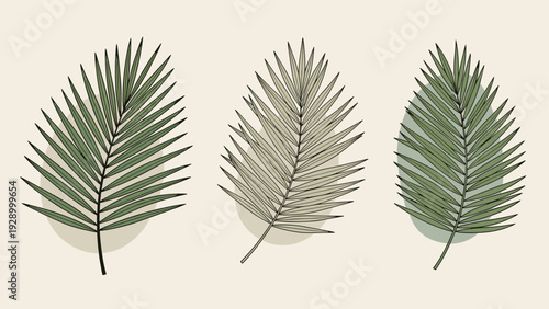 Detailed palm frond illustrations in three styles with muted colorful organic shapes behind them on a neutral beige background.