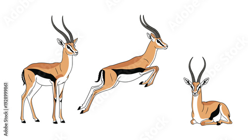 Trio of gazelle antelope animals in different poses including standing jumping and resting on a plain white background for design.