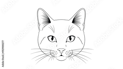 Striking and detailed line art portrait of a domestic cat face with long whiskers and sharp eyes on a plain white background.