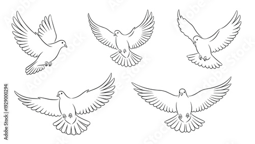 Collection of five black and white line art illustrations showing doves in various graceful flying poses on a white background.