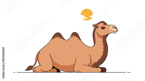 Illustration of a dromedary camel sitting in the desert under a hot sun in clean flat vector style for travel and nature themes.