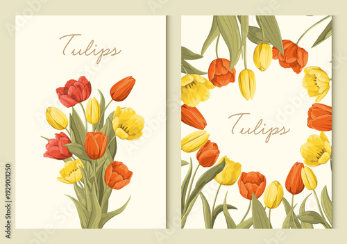 Greeting cards with tulips. Vector.
