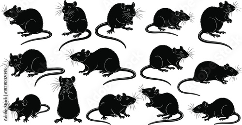Mouse Silhouette Icons Set Featuring Various Poses and Stances