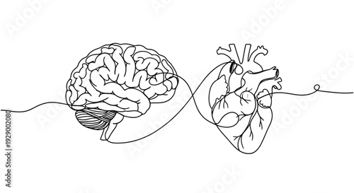 Illustration of a vector file icon with a white background