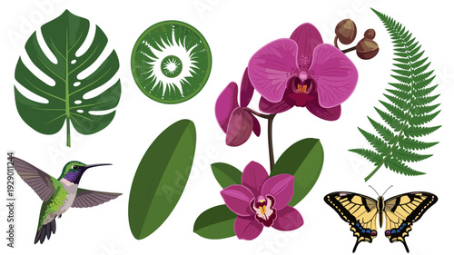 Vibrant collection of tropical elements, including exotic orchids, lush green leaves, a delicate hummingbird, and a striking butterfly, isolated on a clean white background.