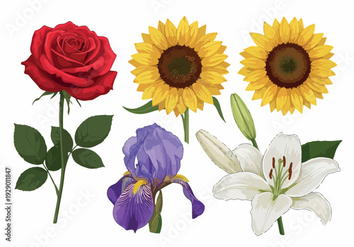 A vibrant collection of flowers including rose, sunflowers, iris, and lily, showcasing various blooms and petals in a visually appealing arrangement from a straightforward viewpoint.